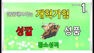 [심리테스트 :성격이 성깔로 변할때] 깐깐해보이는 개혁가형 황소성격(1번)의 스트레스 상황과 성장방향 [ 윤태익 에니어그램 = 성격x 인격]