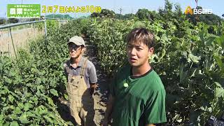 お客さんが望む旬の野菜を栽培！化粧品開発から転身した有機農家【工藤阿須加が行く 農業始めちゃいました】