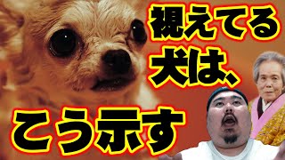 【怪談】飼い主にも噛みつく犬の話。おば～の話。