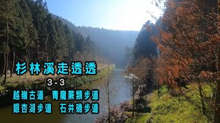 阿吉去旅遊｜杉林溪步道走透透(3-3) ｜越嶺古道迎曦台俯瞰杉林溪  青龍蕨類步道  氣勢非凡青龍瀑布  銀杏湖如詩如畫如歐洲  石井磯步道看壺穴