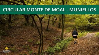 Canal Prestosu | Rutas prestosas: #ruta circular Bosque de Moal (Reserva Integral de Muniellos)