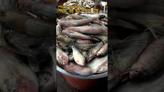 নদীর দেশী মাছের বড় বাজার#shortsviral #fishmarket #নদীরছোটমাছ