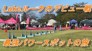 ドッグスポーツ　エクストリーム　ハイスピード　 デビューしました！