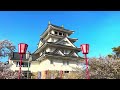 jg8k hdr 岐阜 桜の墨俣城 gifu sunomata castle in sakura season