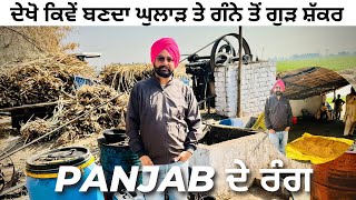 ਦੇਖੋ ਕਿਵੇਂ ਬਣਦਾ ਘੁਲਾੜ ਤੇ ਗੰਨੇ ਤੋਂ ਗੁੜ ਸ਼ੱਕਰ Daman Bagri