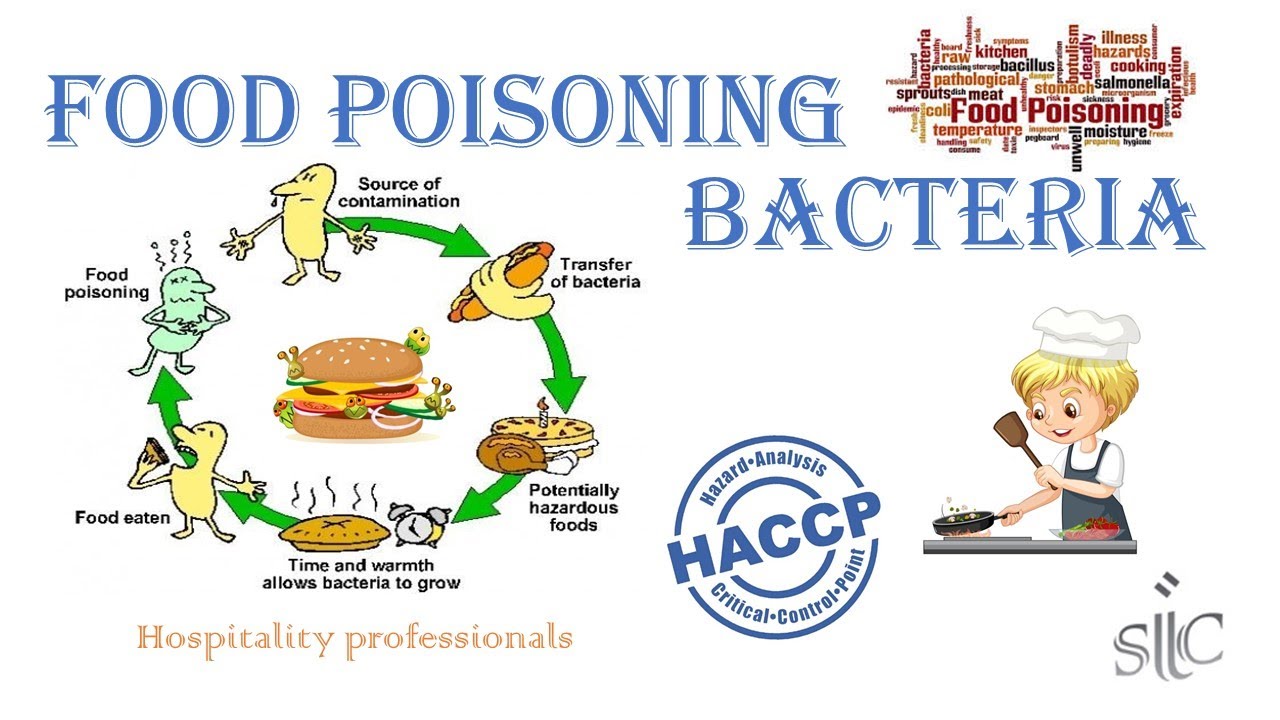 Food Poisoning Bacteria (HACCP Lessons - Part 08) - YouTube