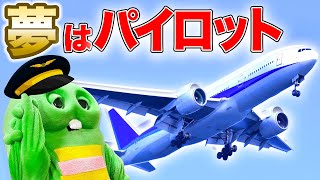 ガチャピンはパイロットになりたい！！