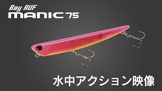 シビアな状況下で爆発的釣果を生み出すロールアクション『ベイルーフ マニック75』