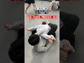 유소년 노기 기본 기술 암바 기무라 백테이크 초크 no gi basic skills