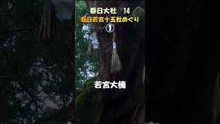 【春日大社】春日大社14　春日若宮十五社めぐり①　春日若宮とは　若宮を筆頭に鎮座する15の神々　十五社をめぐるとあらゆる苦難から守られる　  ＃Shorts  奈良とびっきり観光ガイド【奈良観光】