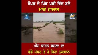 Ropar News : Ropar ਦੇ ਪਿੰਡ ਪੜੀ ਵਿੱਚ ਬਣੇ ਮਾੜੇ ਹਾਲਾਤ, ਮੀਹ ਕਾਰਨ ਫਸਲਾ ਦਾ ਨੁਕਸਾਨ | PBC UK OFFICIAL