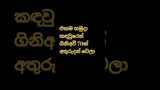 ලොකු අවදානමක් මේක🤨🤨#trending #news #shortsfeed