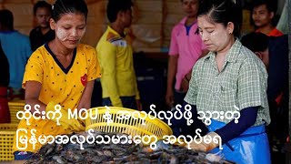 ထိုင်းကို MOU နဲ့ အလုပ်လုပ်ဖို့ သွားတဲ့ မြန်မာအလုပ်သမားတွေ အလုပ်မရ