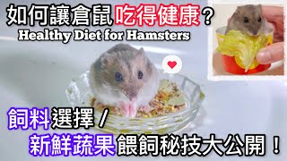 如何讓倉鼠吃得健康？怎樣選擇飼養倉鼠的飼料? 公開餵新鮮蔬果的秘技！Healthy Diet for Hamsters (中文字幕+English subtitle)