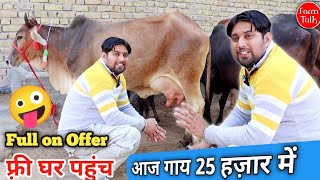 25 हज़ार में गाय 👌 फ़्री घर पहुंच ✨ सभी 8 गाय 38 हज़ार से कम में है Sahiwal Rathi Cow Farm Talk #Cow