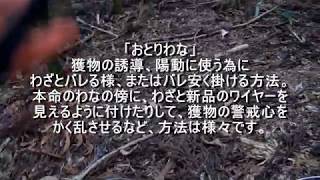 （ゆかマキ解説）変態忍者の、狩猟＆有害鳥獣駆除従事活動記・その５６