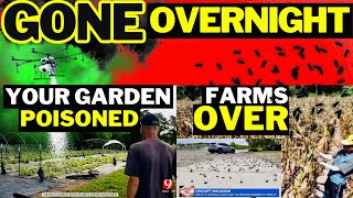 WARNING ⚠️ Farms Poisoned‼️ Infestations HAPPENING NOW | Prepping SHTF