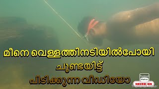 #Eelfishing #eel Kerala fishing#വാര ചൂണ്ട വെച്ച് ആരകൻ പിടുത്തം#kerala_fishing