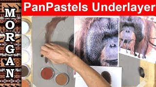 Using PanPastels to draw hair / fur - under-layer - wildlife art Jason Morgan