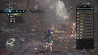 Monster Hunter: 炎妃滅盡龍回血雙刀歷戰屍套龍皇