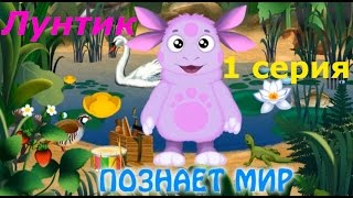 Лунтик познает мир - #1 Жители Озера и Леса. Обучающий игровой мультик для детей.