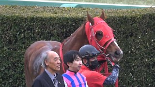 【現地】WIN5民撃沈  14番人気の伏兵 ジャスパーゴールド 横山和生 森先生【中山競馬場】