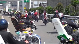 ずっと暴走族  Japanese Bosozoku