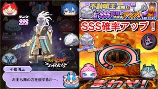 【ぷにぷに攻略】SSS出現率アップ！ 不動明王 追加！ シャドウサイドガシャ 闇エンマ アニメと連動イベント！妖怪ウォッチシャドウサイド 怪奇メモ争奪戦【妖怪ウォッチぷにぷに】Yo-Kai Watch