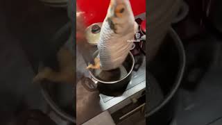 Winner winner Fish for dinner #funny #happyday #homerecipe #cooking #prank #familyfun