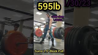 595lb Sumo 1.5\