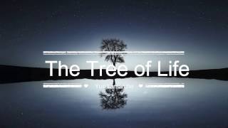 YURI - The Tree of Life - The Tree of Life [Relaxing Piano Music]