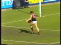 1984 vfl grand final highlights recap essendon v hawthorn