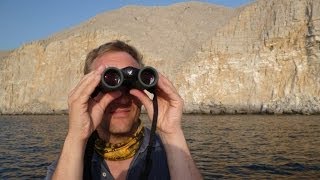 Swarovski Optik and Biosphere Expeditions: sooty falcon survey around the Musandam penisula, Oman