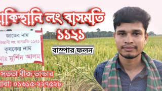 পাকিস্থানি লং বাসমতি ধানবীজ ||  Pakisthsni long basmoti rice seed. BRRR ~ ০১৬১৫-২২৭৫২৮