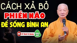 PHIỀN NÃO SINH BẤT THIỆN - Cách Xả Bỏ Phiền Não Để Sống Bình An - Pháp Thoại ht thích trí quảng