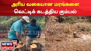 Exclusive |  மரங்களை வெட்டிக் கடத்திய கும்பலை தேடும் பணி தீவிரம் | Trees | Puducherry | Tamil News