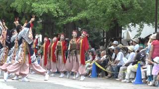 2014 よさこい祭り in 光が丘公園 祭・WAIWAIよこはまー「勢波」