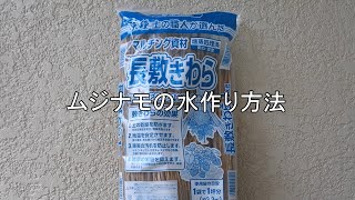 ムジナモ栽培の水作り