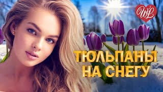 ТЮЛЬПАНЫ НА СНЕГУ ♫ CLUB MUSIC PARTY WLV ♫ ВСЕ ЗВЕЗДЫ ТАНЦПОЛА ♫ PARTY DANCE ♫ ПОД РИТМ СЕРДЕЦ ♫