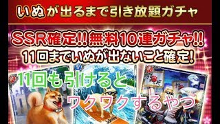 【戦国炎舞】　犬ガチャ11/11特別仕様