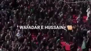 Hum Log Azadar -E-Hussain Nohy  video status