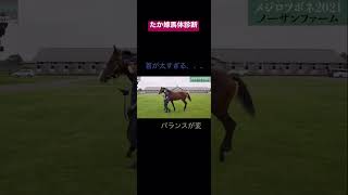 たか嫁馬体診断　ＤＭＭバヌーシー  メジロツボネ2021