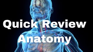 Quick Review Full Anatomy Part - 1 || Mis.Medicine