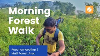 Morning Forest Walk | Poochamarathur | Mulli Forest | Tamil Nadu