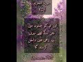 Surah tahreem ayat 8 urdu translation only