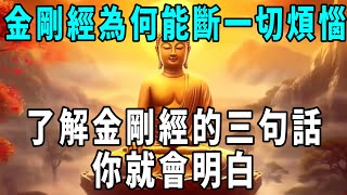 [洞見禪心] 《金剛經》為什麼能斷煩惱？了解金剛經的核心思想，你就會明白了。     #洞見禪心 #幸福人生 #佛學2023 #佛教心理學 #佛教哲學 #佛禪