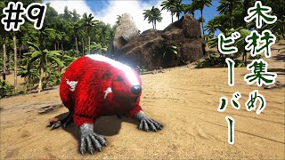 【ARK】木材集め担当「カストロイデス」を探しながらマップ探索【ゆっくり実況】【part9】