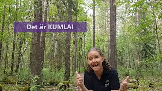 Hällkistans naturreservat, Kumla - The next best thing!