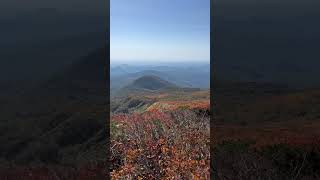 【登山】虚空蔵山の紅葉　#shorts