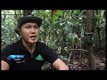 RANGER PENJAGA HUTAN LEUSER | KOMPAS TV ACEH_17012019